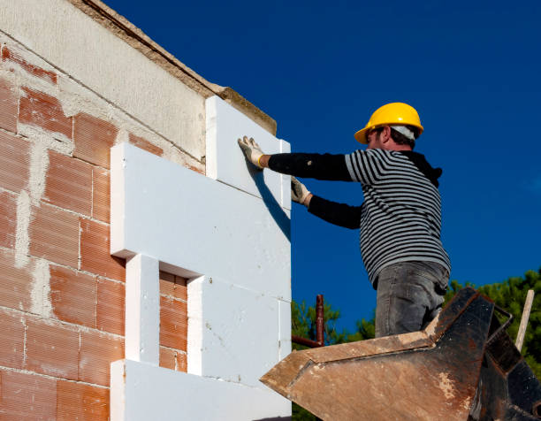 Best Wall Insulation Contractor  in Schuyler, NE