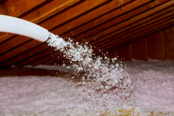 Insulation Replacement Services in Schuyler, NE
