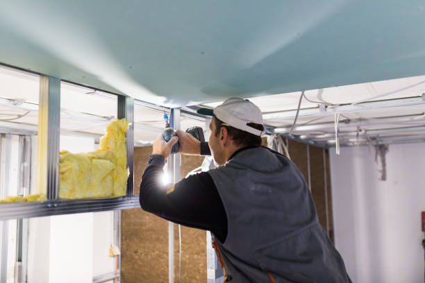 Best Spray Foam Insulation  in Schuyler, NE