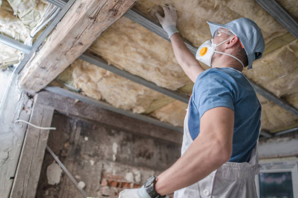 Best Professional Insulation Contractor  in Schuyler, NE