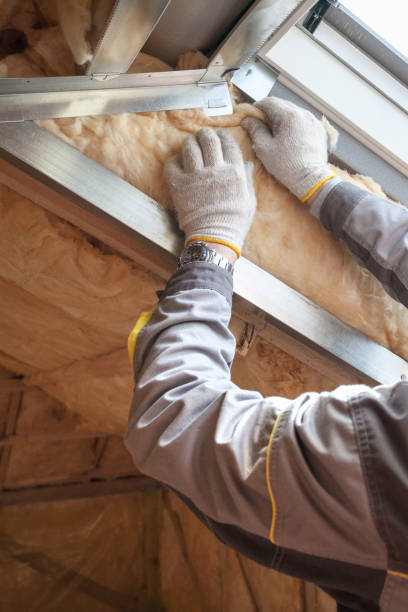 Trusted Schuyler, NE Insulation Contractor Experts
