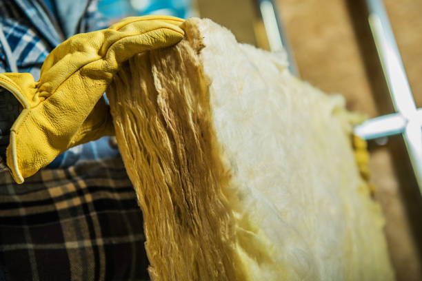 Best Insulation Inspection Services  in Schuyler, NE
