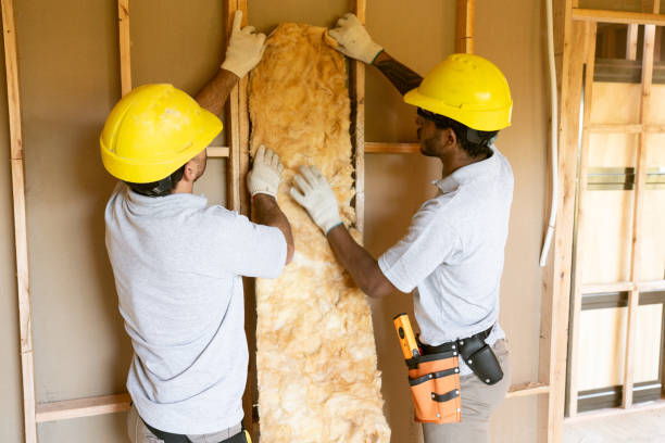 Best Attic Insulation Installation  in Schuyler, NE