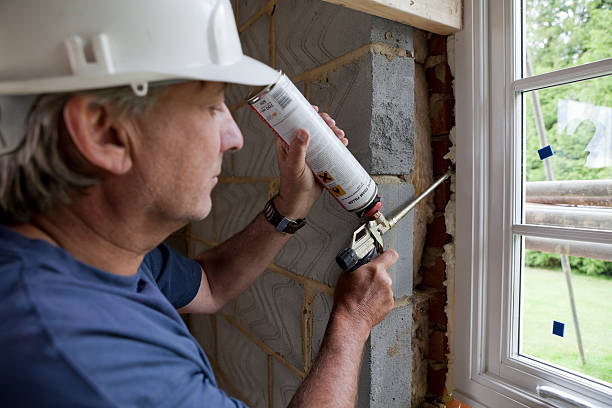 Best Insulation Contractors for Homes  in Schuyler, NE